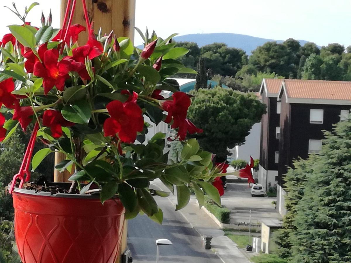 Nel Blu Dipinto Di Blu Διαμέρισμα Porto Recanati Εξωτερικό φωτογραφία